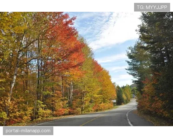 “校园车轮计划”在加拿大魁北克省启动,旨在推广青少年山地车安全教育